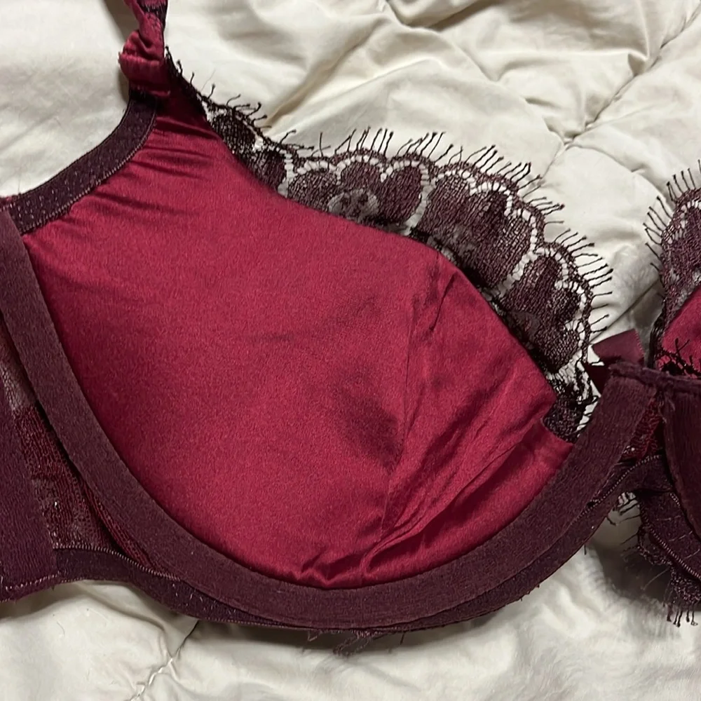 Agent Provocateur soirée silk & lace mei Siam Red Lace Bra & VS thong set